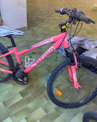 Bicicletta
