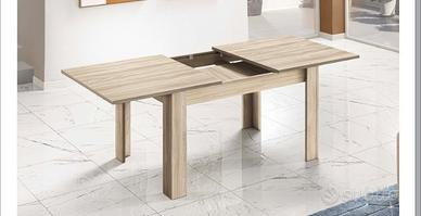 Tavolo allungabile+4 sedie in ecopelle 500 euro tr