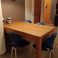 Sedie design Ycami modello Gali perfette 