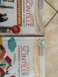 Libro scuole medie “come scintille 2”