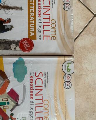 Libro scuole medie “come scintille 2”