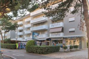 Michelangelo Sabbiadoro bilo 5 pax 250 m dal mare