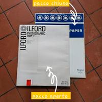 2 maxi carta fotografica Antex e Ilford