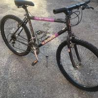 Mtb 26 pollici bianchi e atala