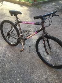 Mtb 26 pollici bianchi e atala