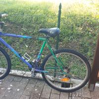 Biciclette mountain bike