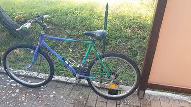 Biciclette mountain bike