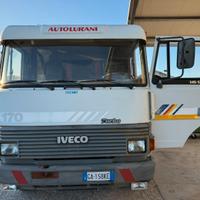 Camion con gru Iveco Fiat 145-17