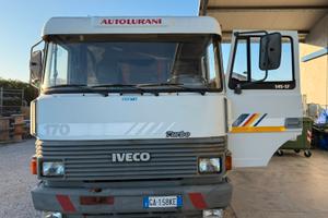 Camion con gru Iveco Fiat 145-17