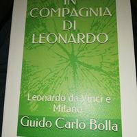 Leonardo e il mistero svelato