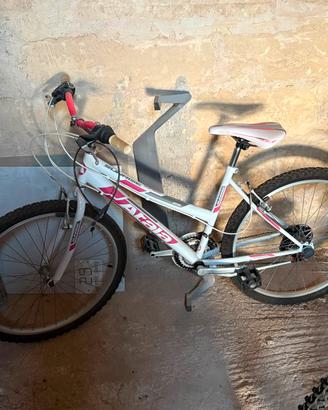 2 bici Atalanta esperia 26 