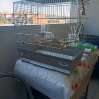 gabbia per uccelli con giocattoli per pappagalli