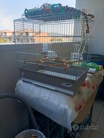 gabbia per uccelli con giocattoli per pappagalli