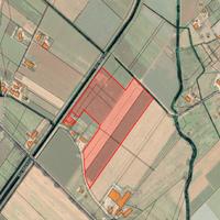 Terreno 6,8 HA ca. con impianto kiwi | TR374