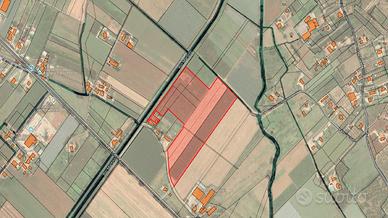 Terreno 6,8 HA ca. con impianto kiwi | TR374