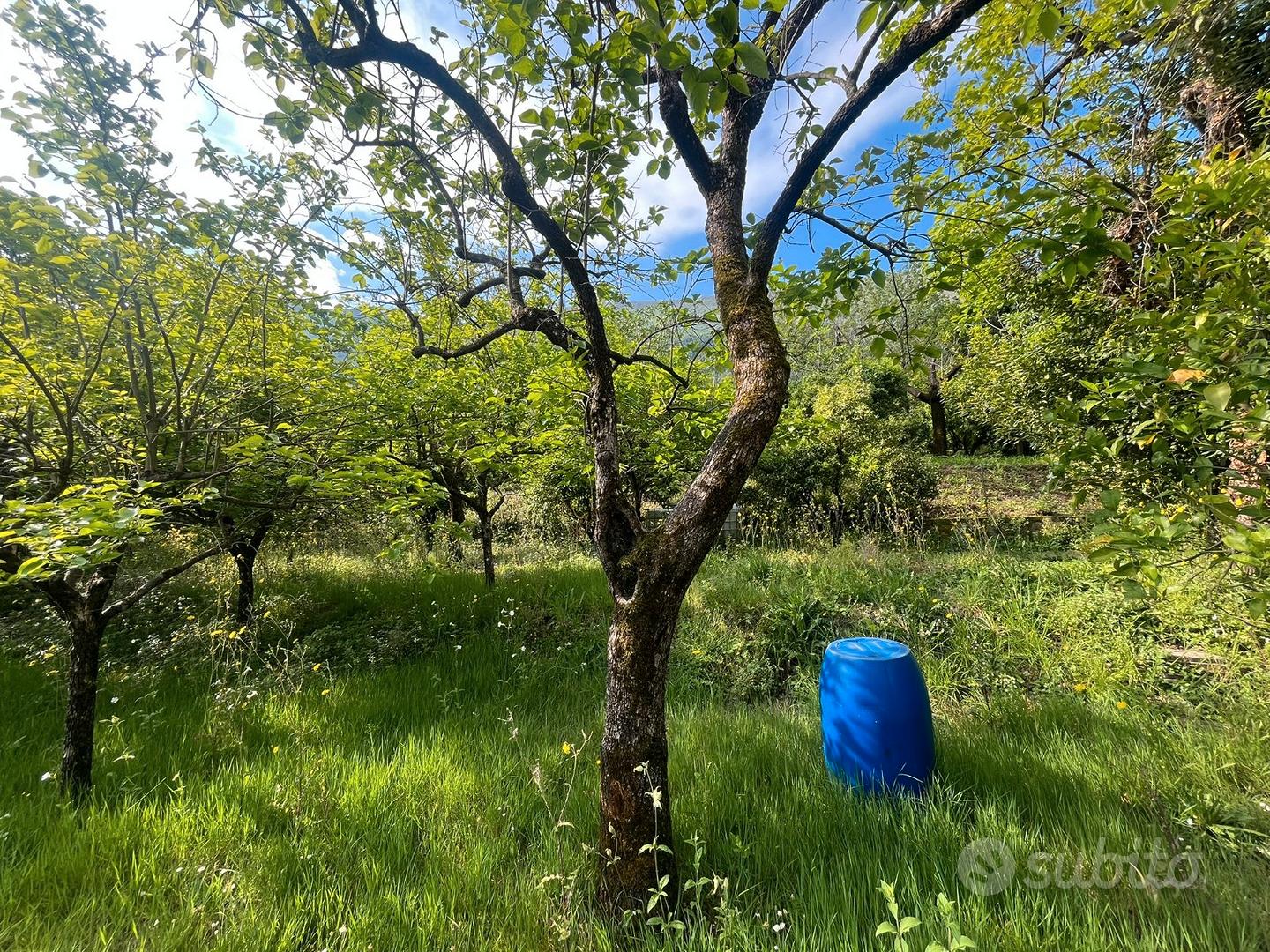 Terreno agricolo - zona montalbino - Vista 5