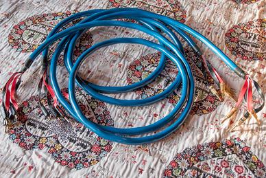 cavi di potenza di per diffusori wireworld oasis 6