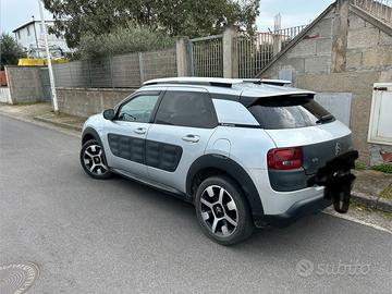 C4 cactus
