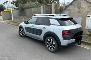 C4 cactus