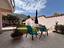 Immagine 14