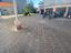 Immagine 23
