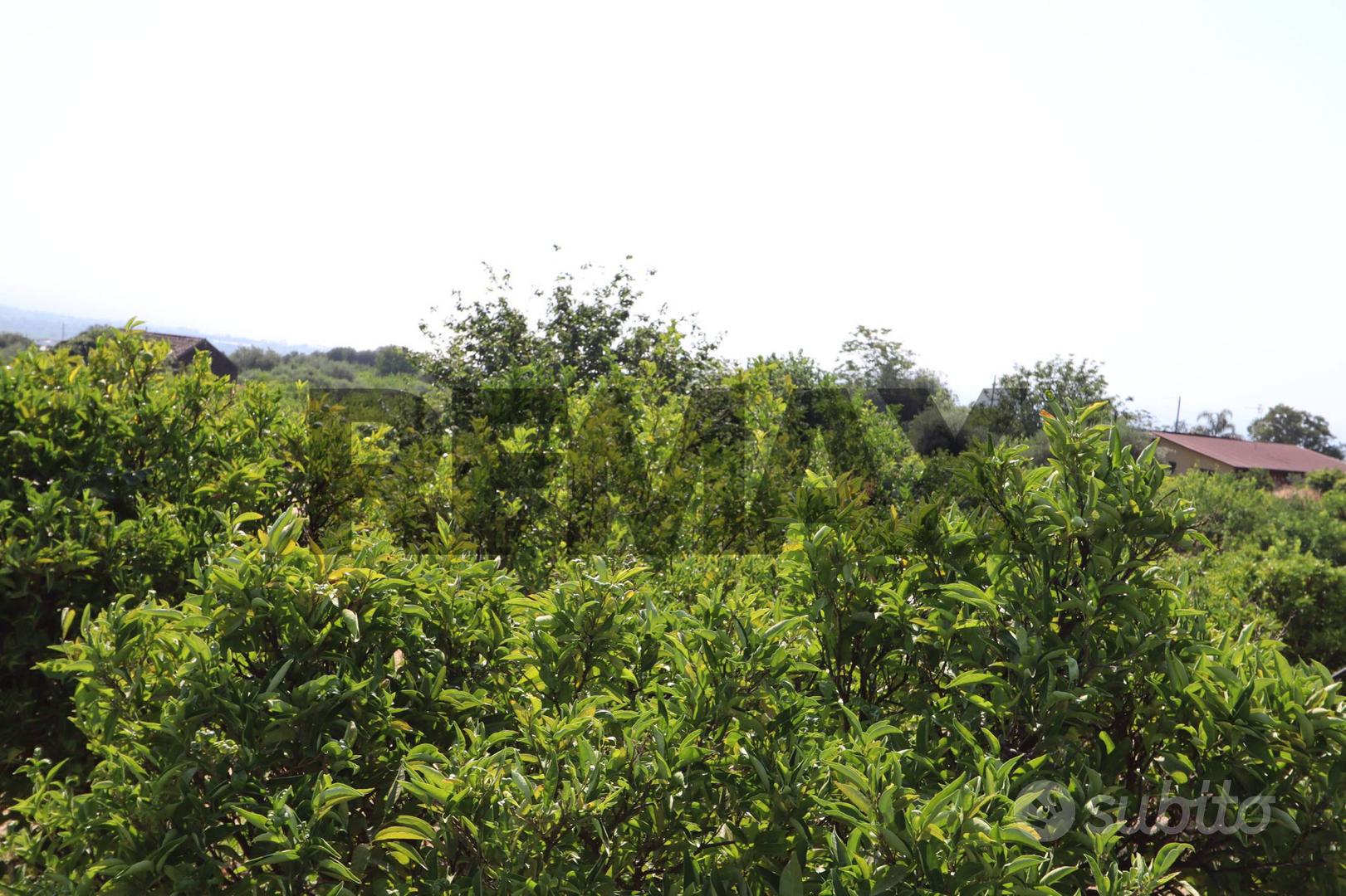 Terreno - Mascali - Vista 4