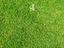 Immagine 19