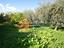 Immagine 21