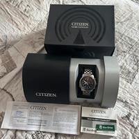 Citizen promaster in titanio