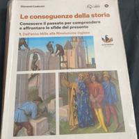 Libro le conseguenze della storia per superiori