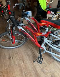 Set 2 biciclette Mountain Bike