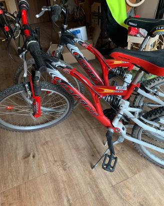 Set 2 biciclette Mountain Bike