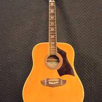 Chitarra acustica EKO RIO BRAVO Made in Italy 