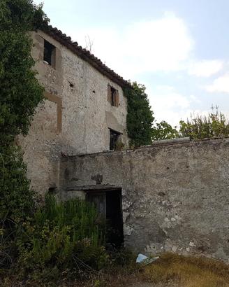 Oliveto con grande rudere da ristrutturare