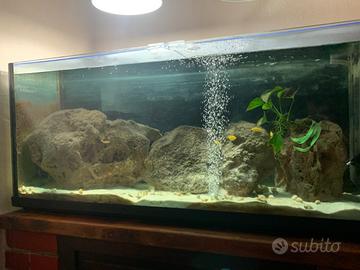 Acquari (200 e 15L) + mobile legno massello