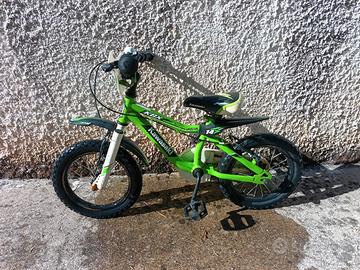 bicicletta