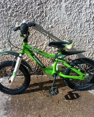 bicicletta