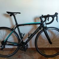 Bianchi via nirone 7