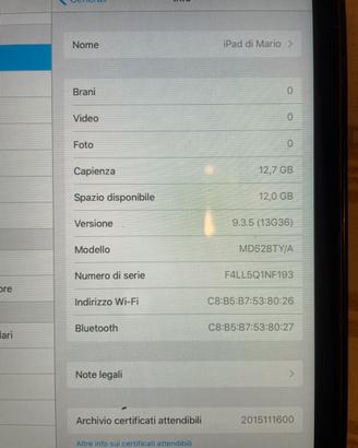 Ipad mini