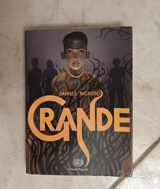 Libro Grande - Daniele Nicastro (Einaudi)