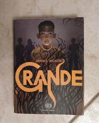 Libro Grande - Daniele Nicastro (Einaudi)