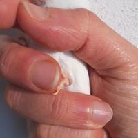 Canarina bianca occhi rossi