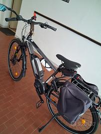 colnago e bike