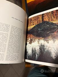 Libri De Agostini "Le grandi distese selvagge"