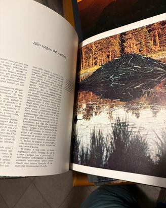 Libri De Agostini "Le grandi distese selvagge"