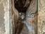 Immagine 9