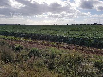 Az.Agr. di 73 ettari nel MATERANO