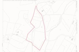 Terreno Agricolo - Mergo (AN)