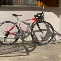 Bici Viner Dedalus xs