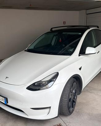 TESLA MYP